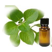 Hyssop Oil